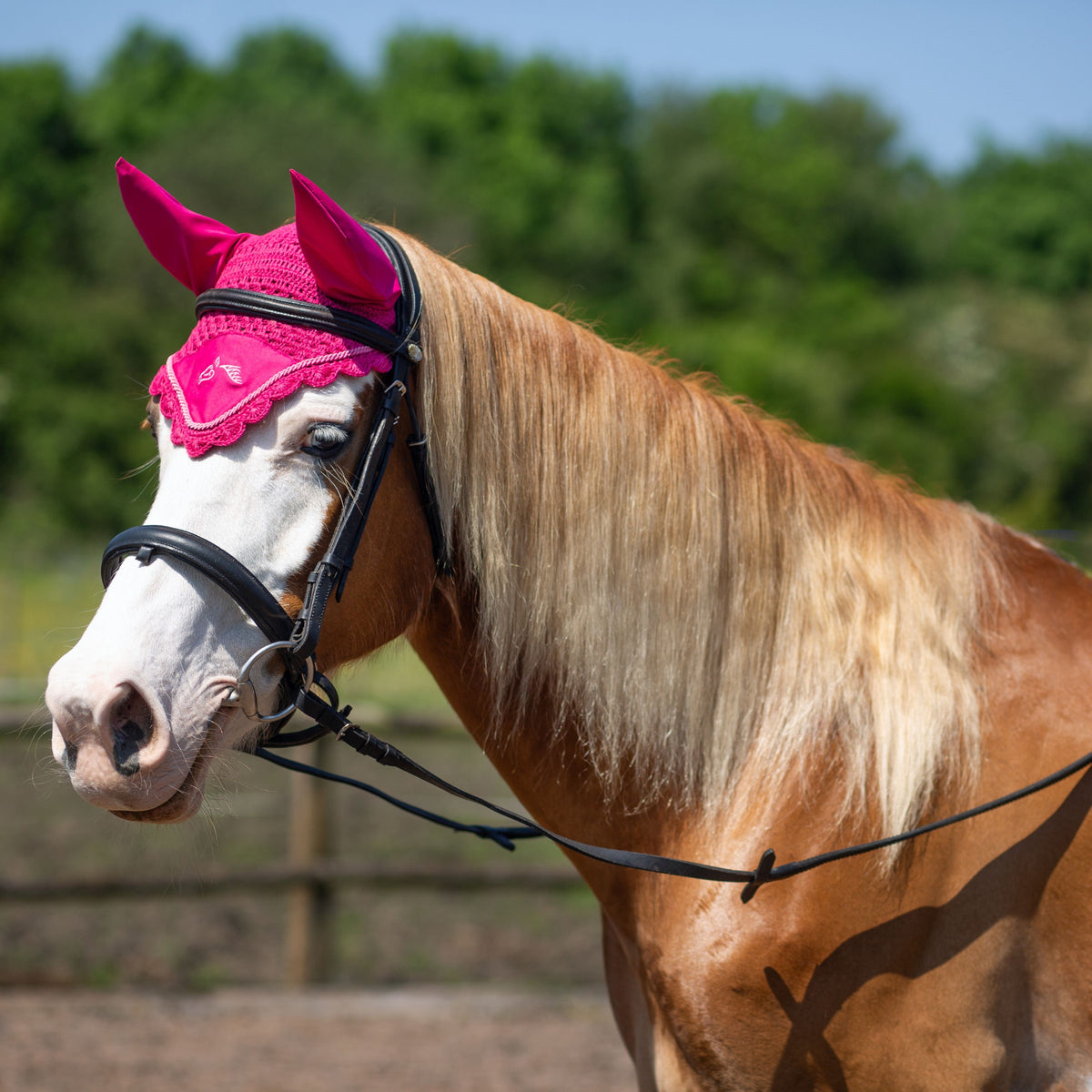 GALLOP Fuschia Classic Ear Veil