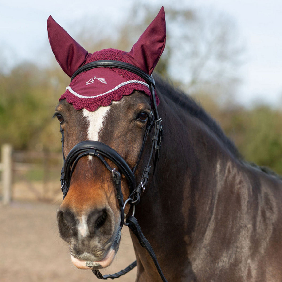 GALLOP Burgundy Classic Ear Veil
