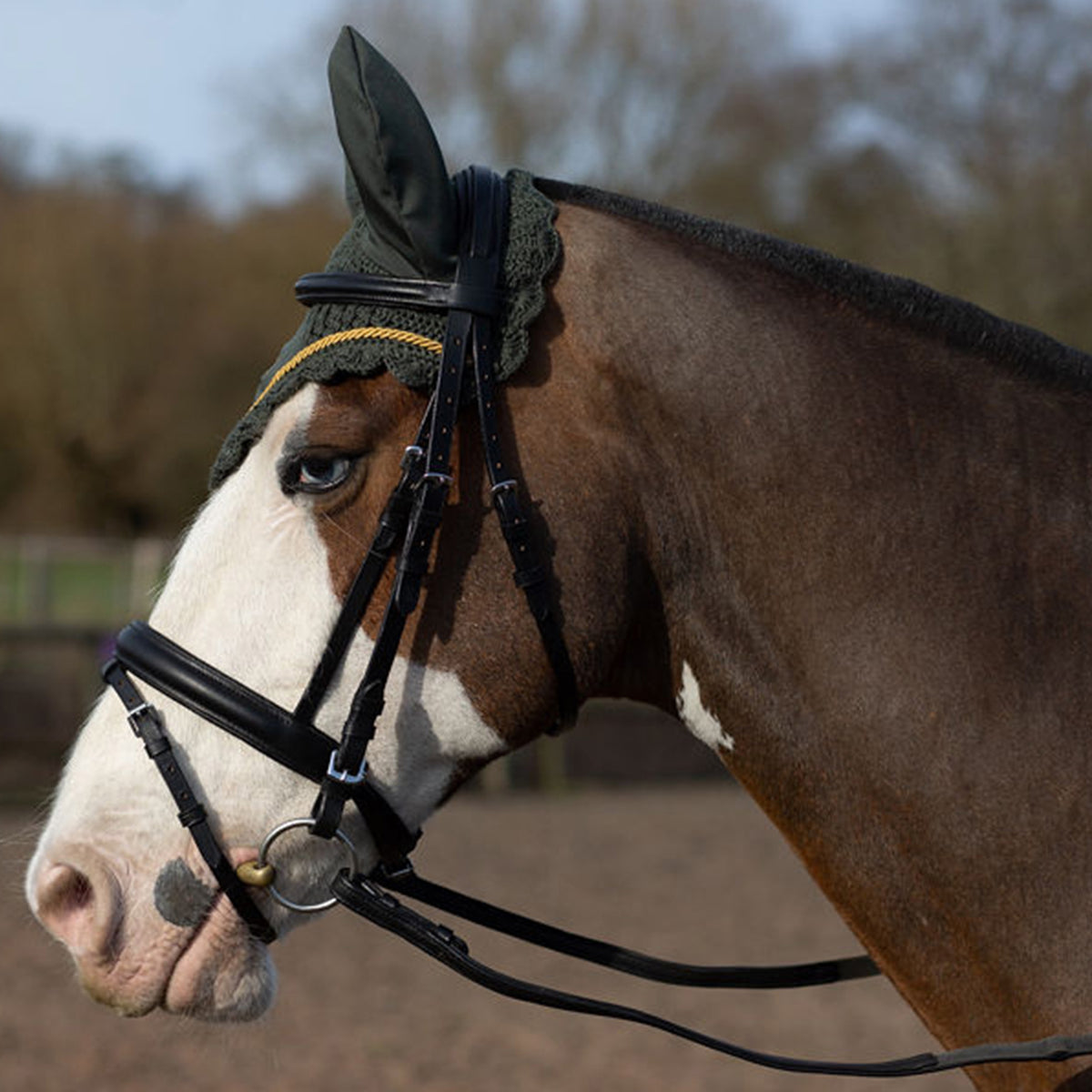 GALLOP Green Classic Ear Veil