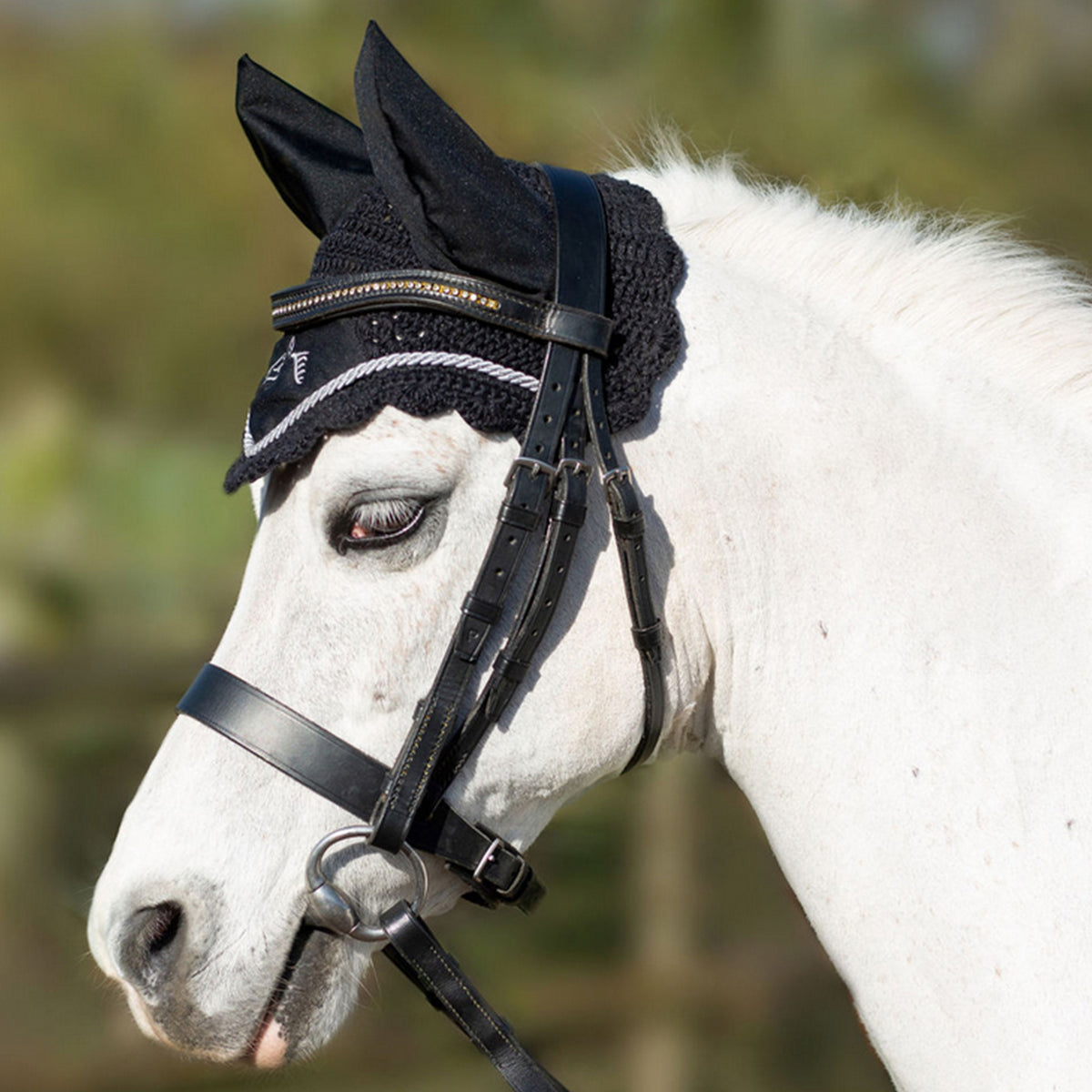 GALLOP Black Classic Ear Veil