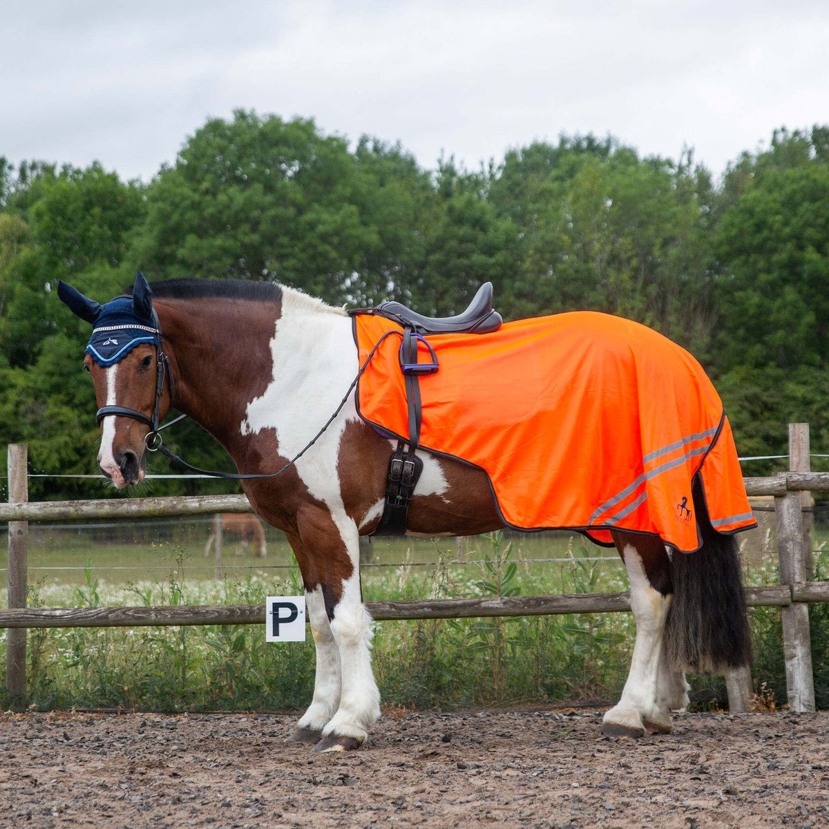 TROJAN Retro Reflective Mesh Exercise Sheet Orange