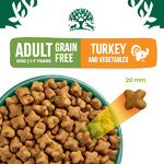 James Wellbeloved Adult Grain Free Turkey & Vegetable