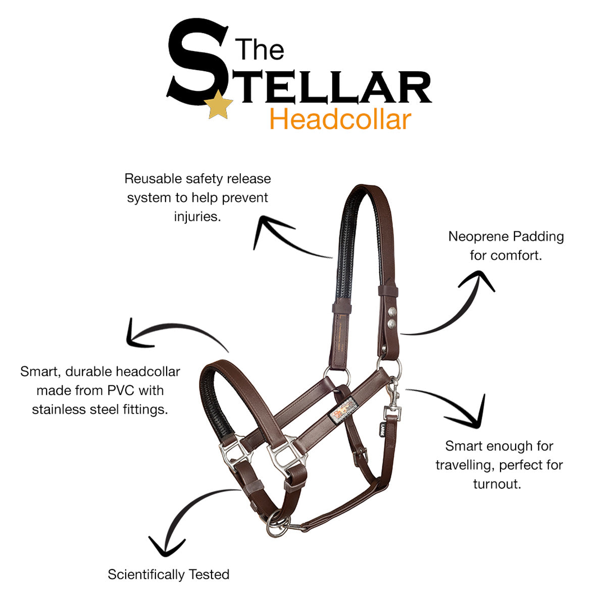 Equilibrium Stellar Safety Headcollar Black