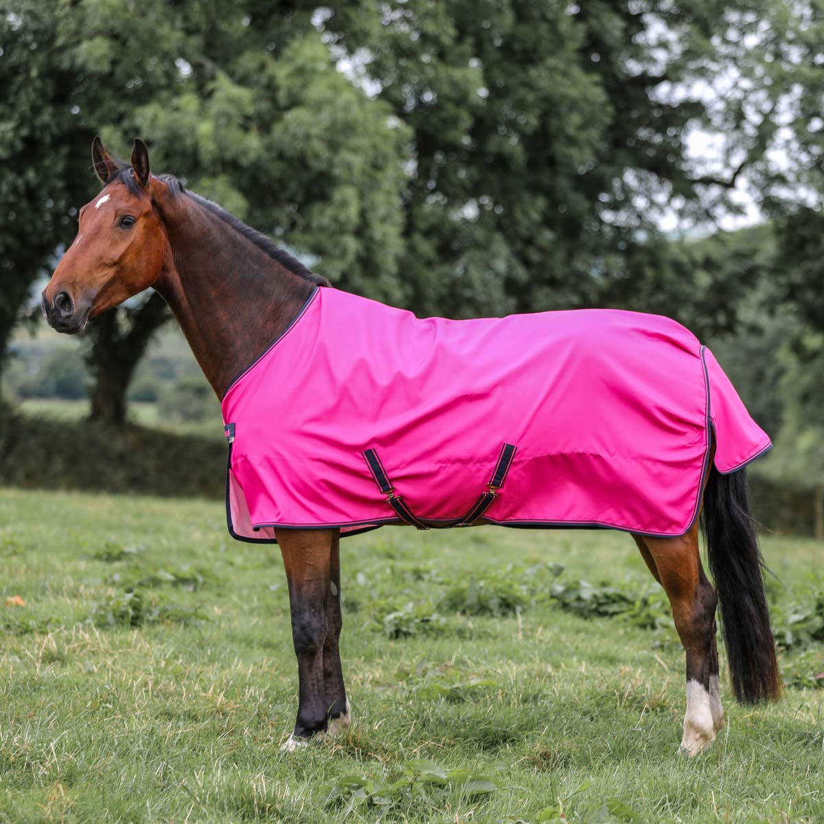 Bucas Freedom Turnout Rug Light 0g Pink
