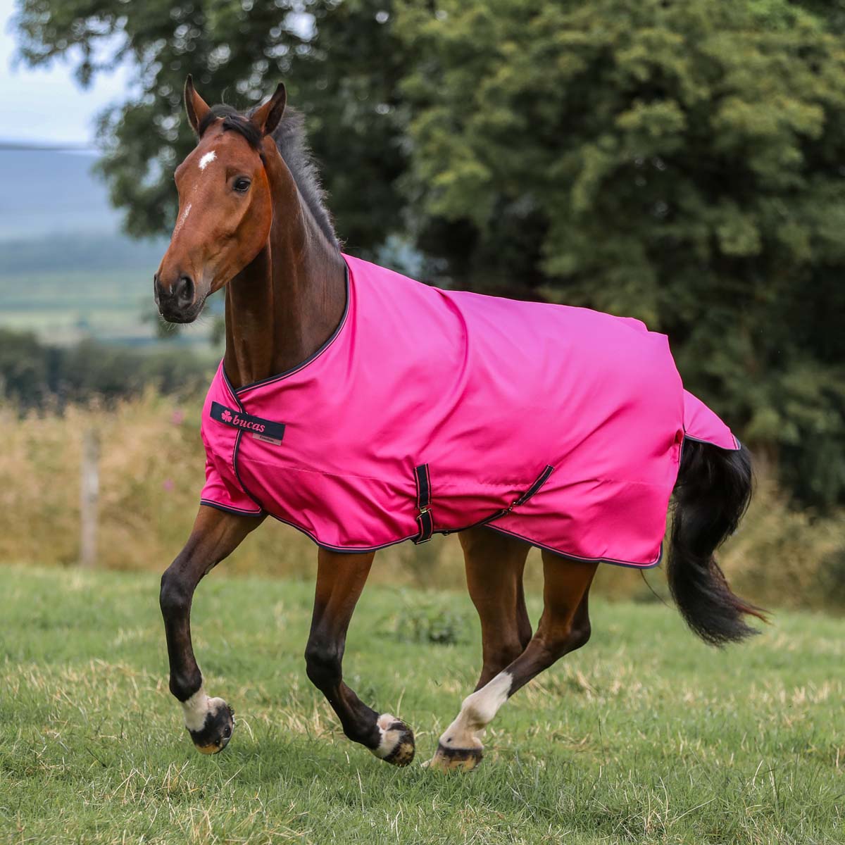 Bucas Freedom Turnout Rug Light 0g Pink