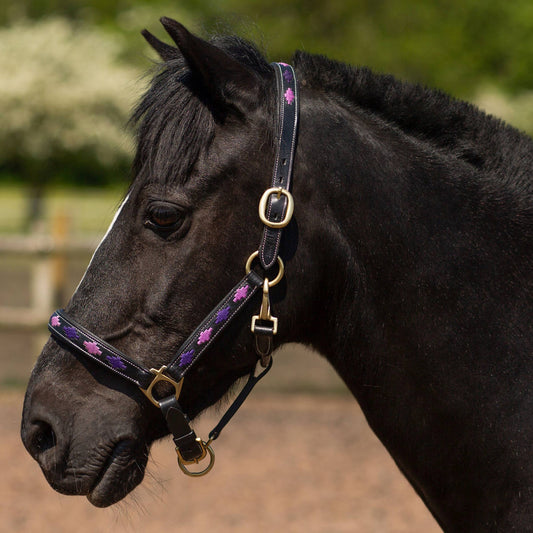 GALLOP Purple/Lilac Diamond Leather Padded Headcollar