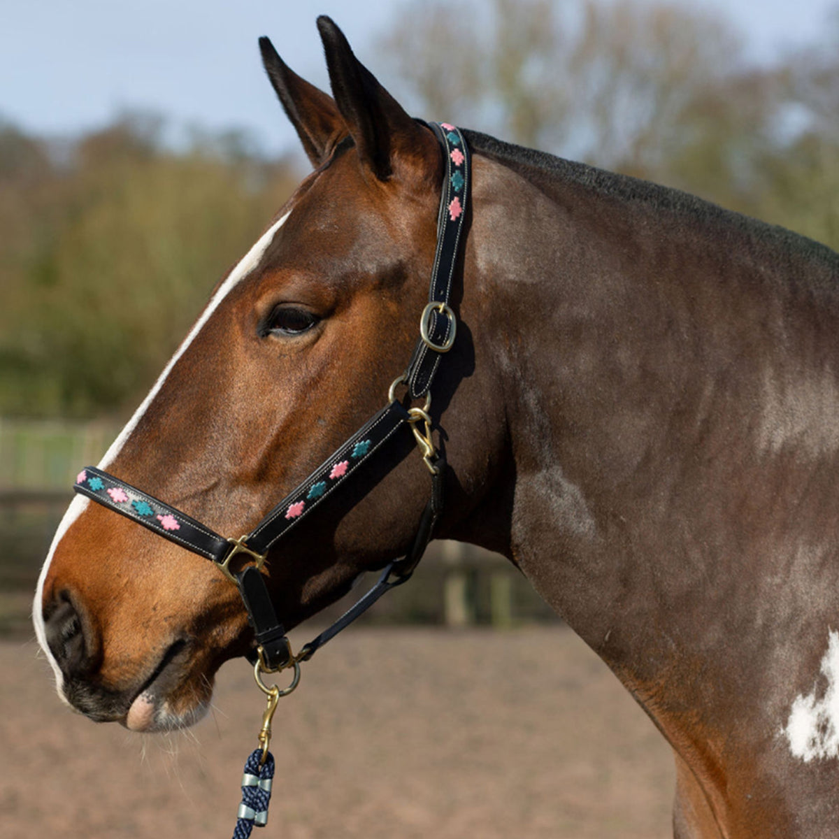 GALLOP Pink/Aqua Diamond Leather Padded Headcollar