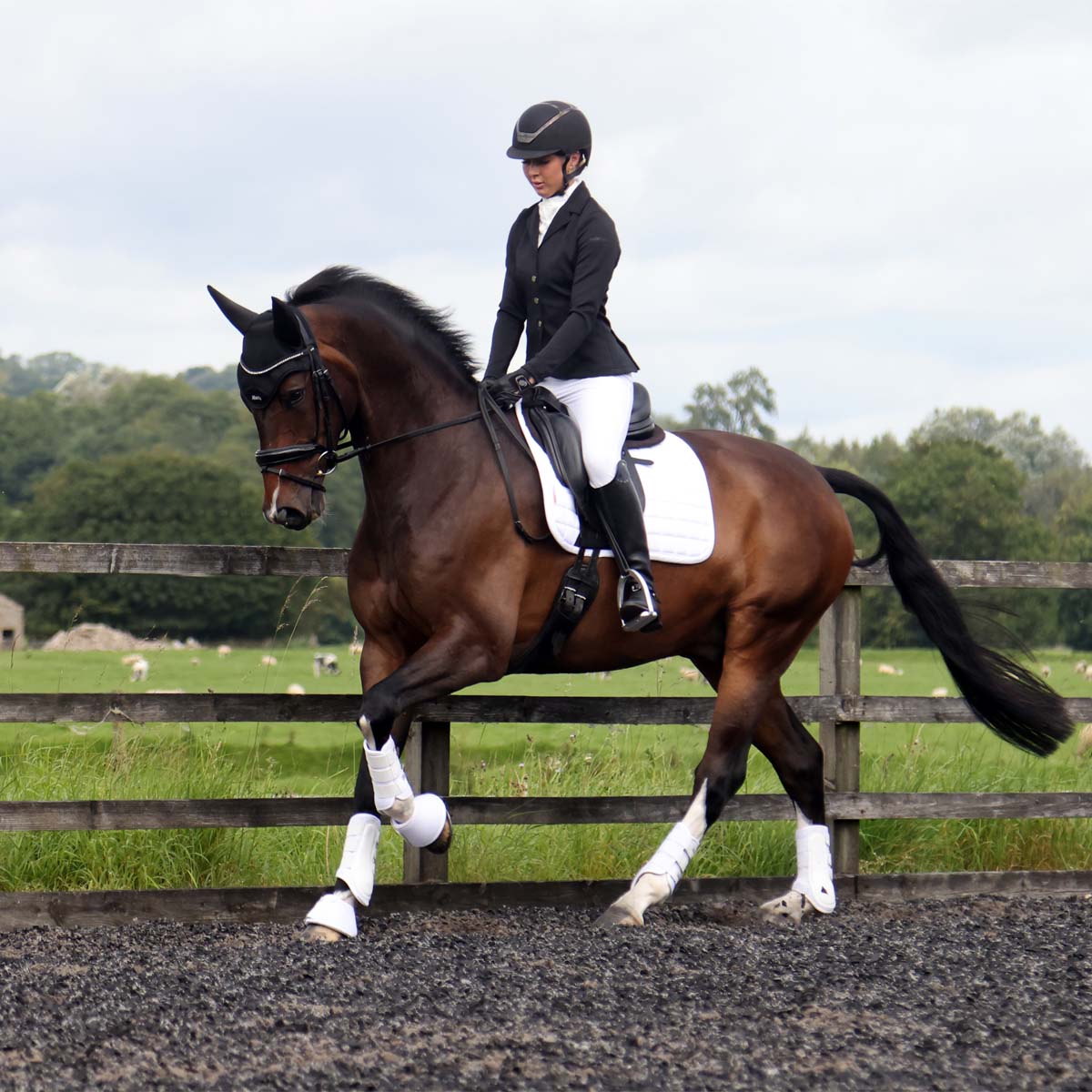 Protechmasta Infrared Airmesh Dressage Saddle Pad White