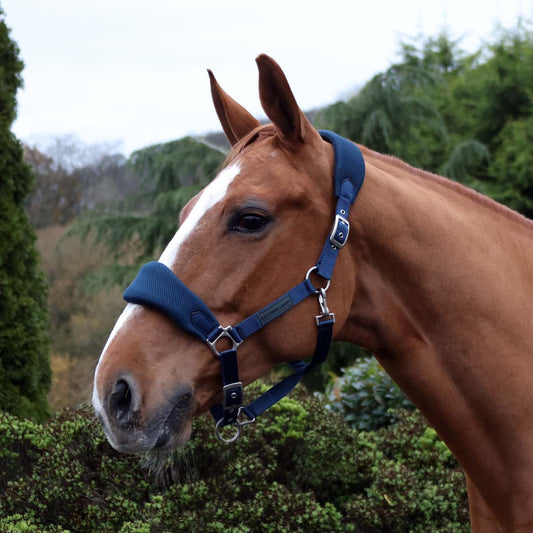 Cottage Craft Airmesh Headcollar Navy Blue