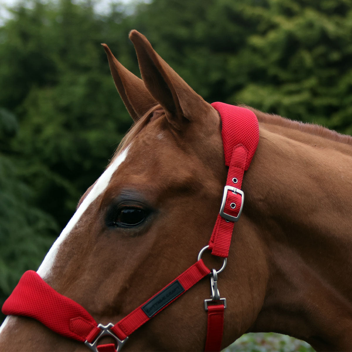 Cottage Craft Airmesh Headcollar Red