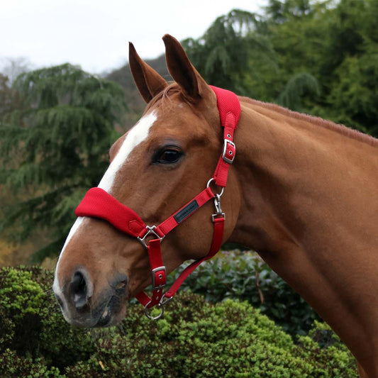 Cottage Craft Airmesh Headcollar Red