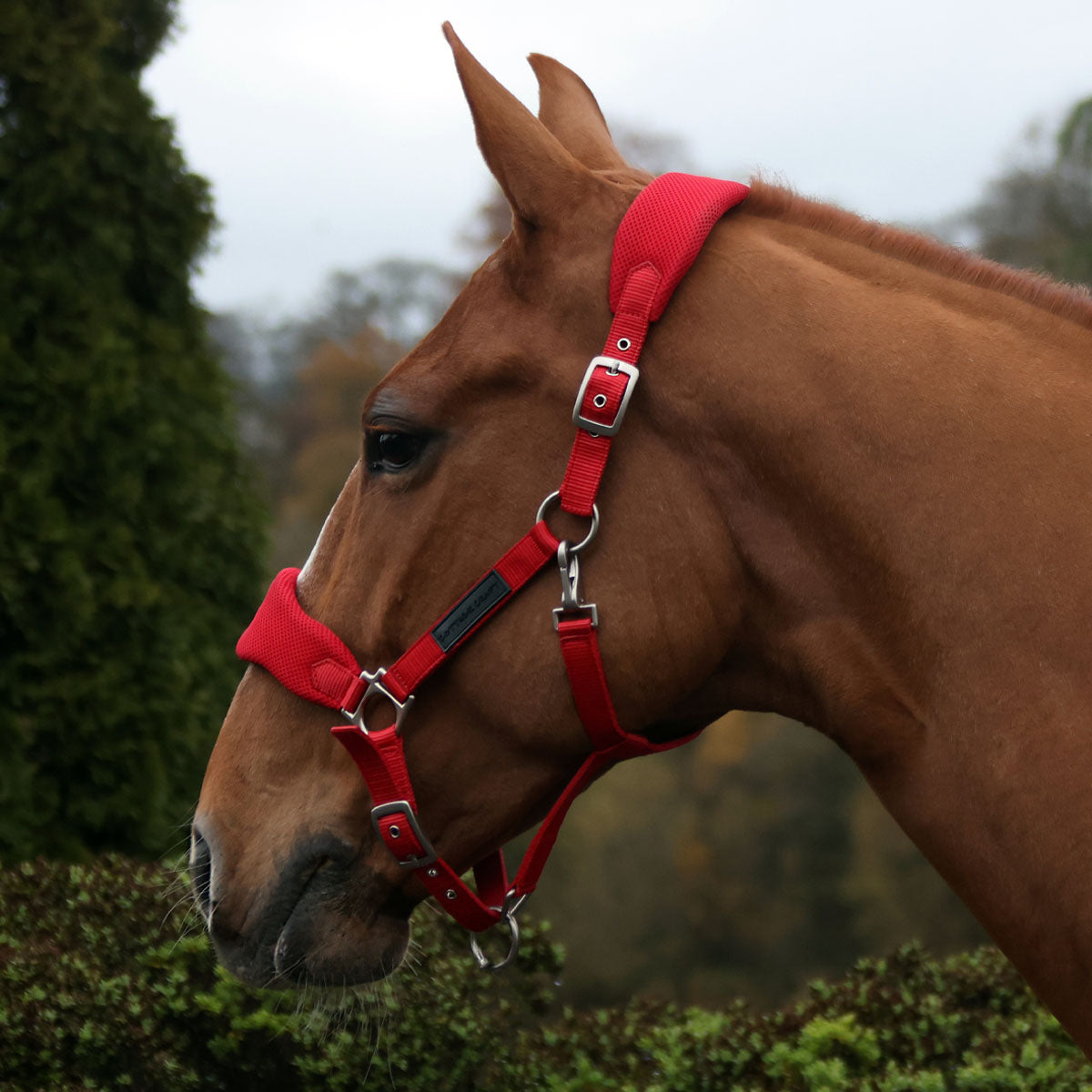 Cottage Craft Airmesh Headcollar Red