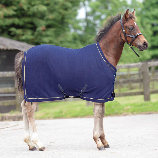 Masta Fleece Rug Foal/Miniature Pony Blue