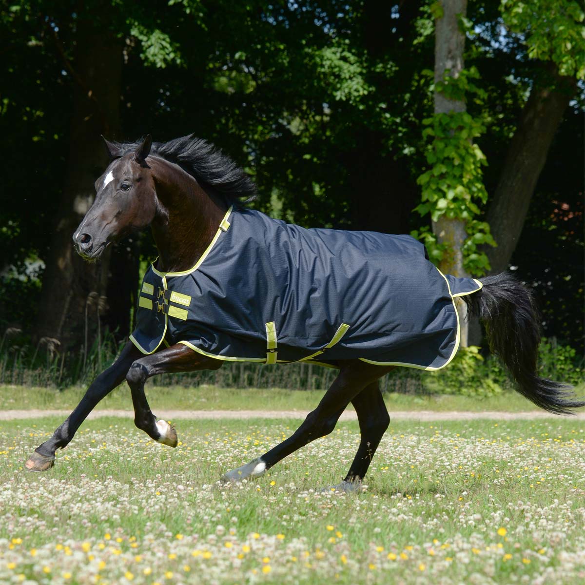 Bucas Oasis Turnout 100 & Neck Set Grey