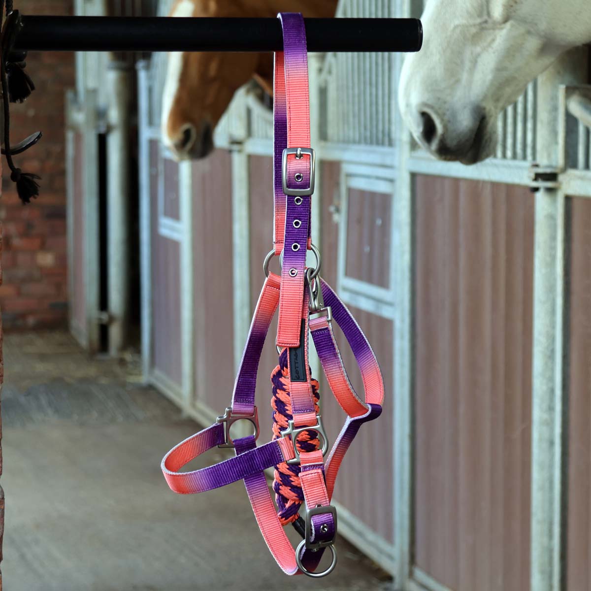 Cottage Craft Ombre Headcollar Purple