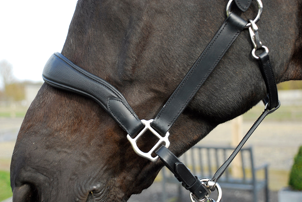 Rhinegold Softee Pro-Anatomical Leather Headcollar