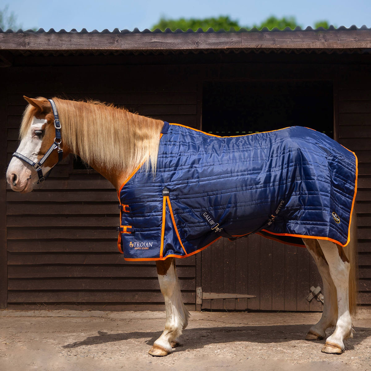 TROJAN 100g Stable Rug