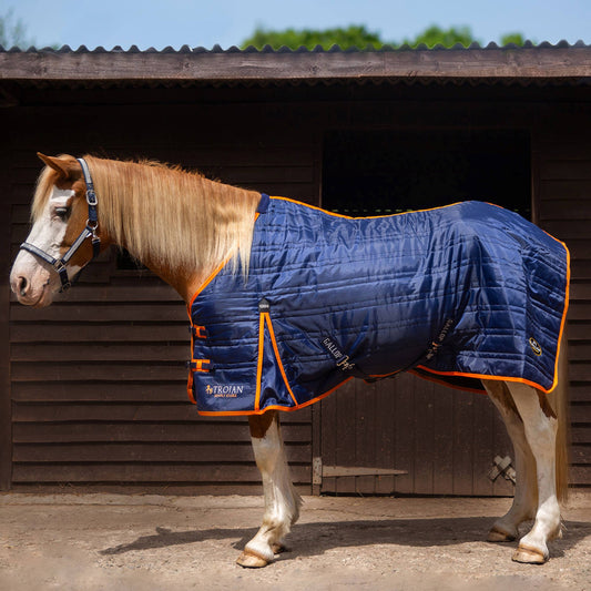 TROJAN 100g Stable Rug