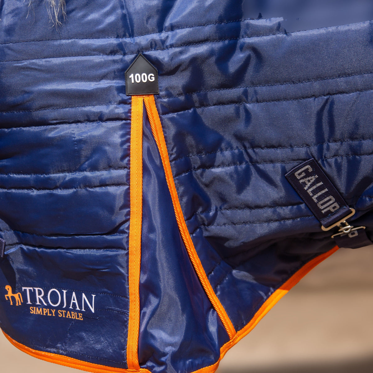 TROJAN 100g Stable Rug