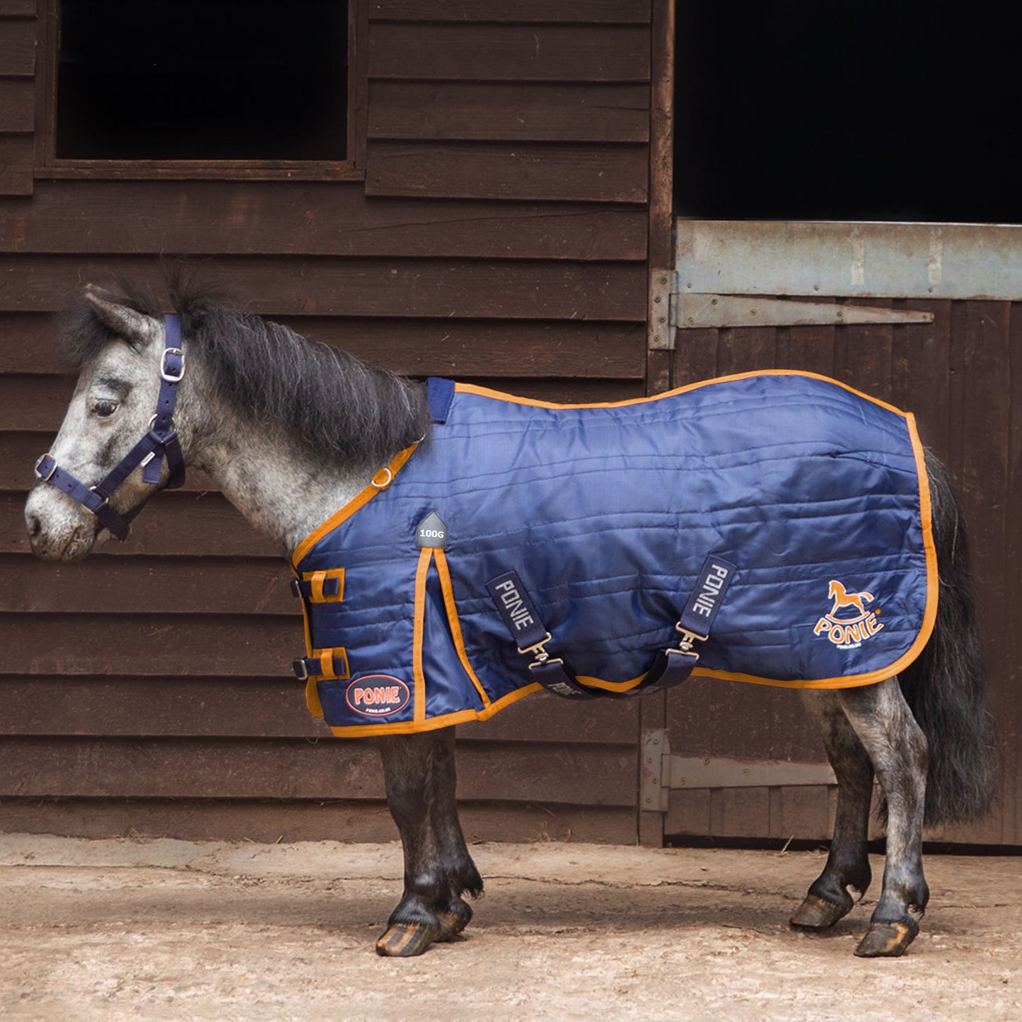 Ponie 100g Stable Rug