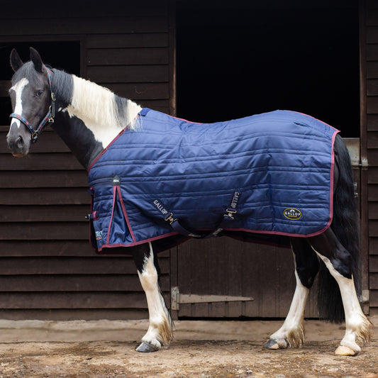 TROJAN 50g Stable Rug