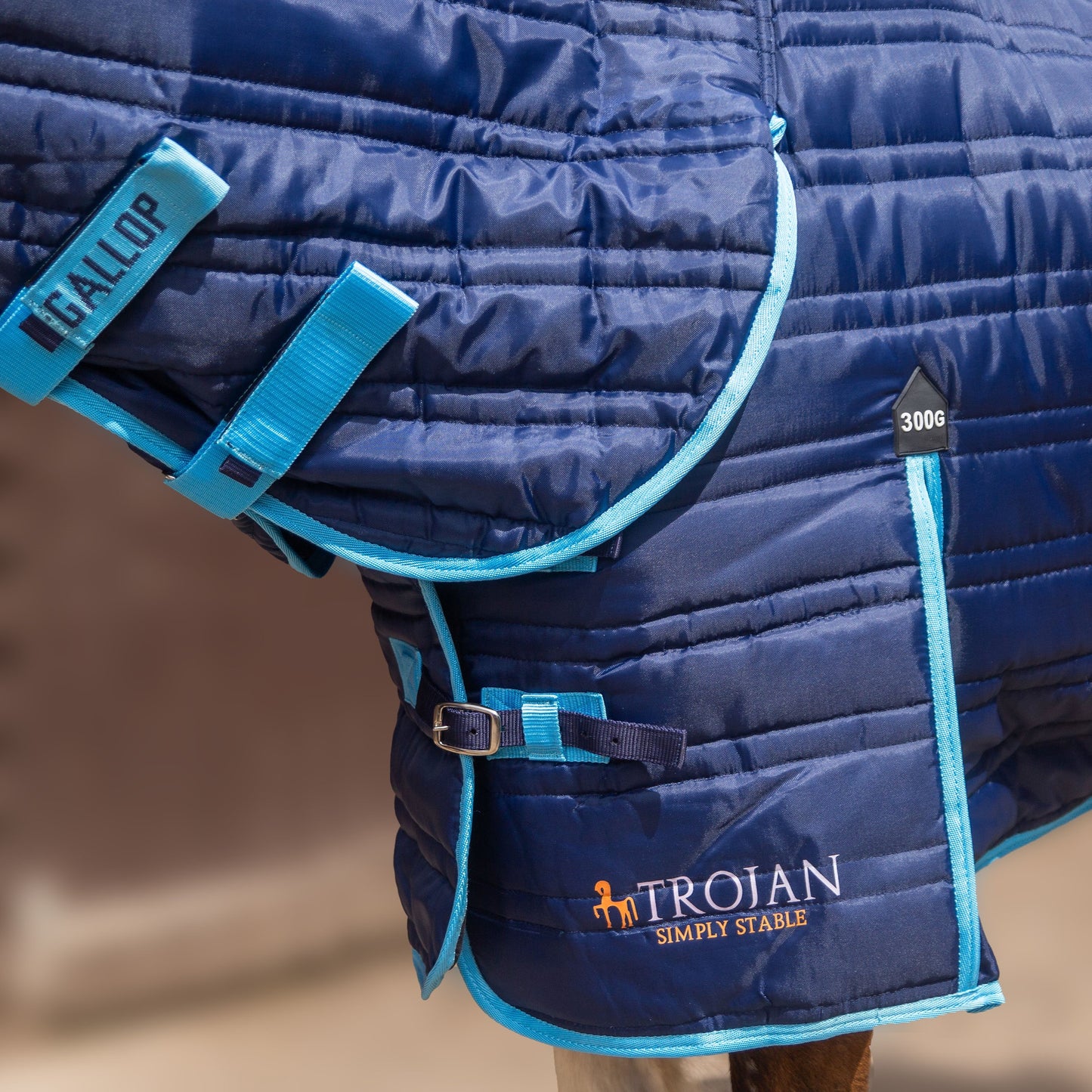 Trojan 300g Combo Stable Rug