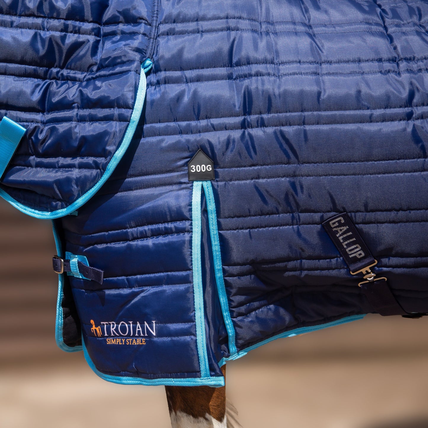Trojan 300g Combo Stable Rug