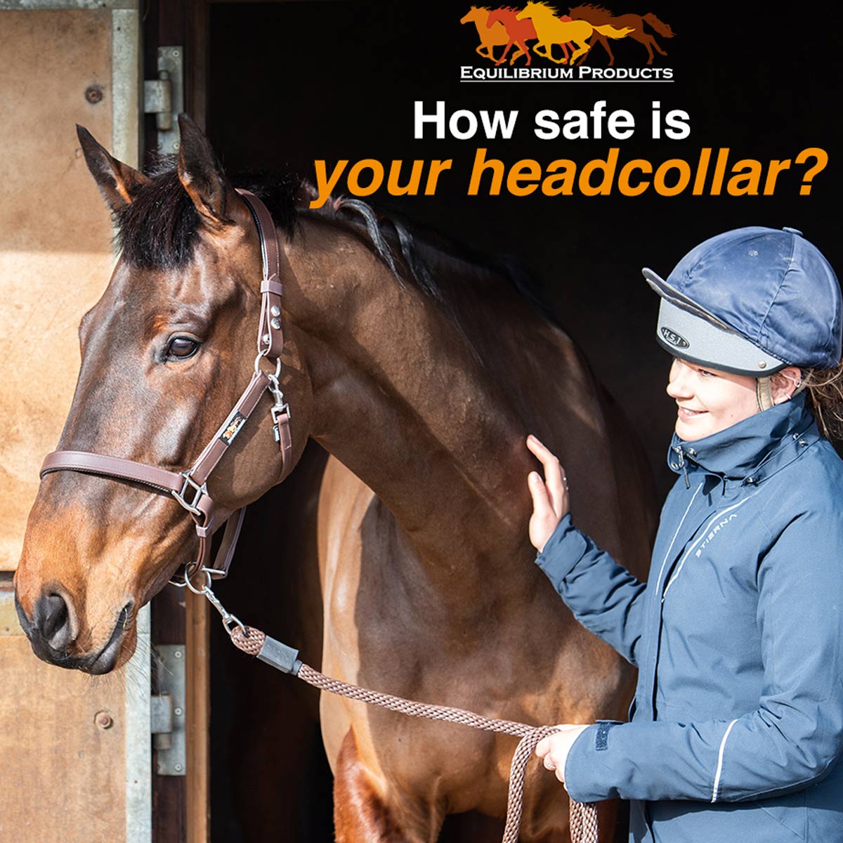 Equilibrium Stellar Safety Headcollar Brown