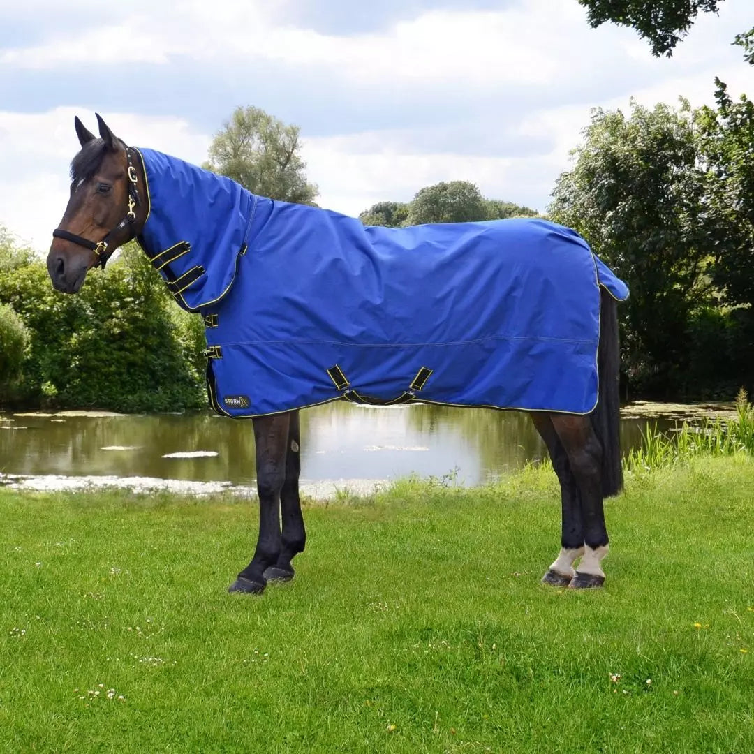 StormX Original 100 Combi Turnout Rug